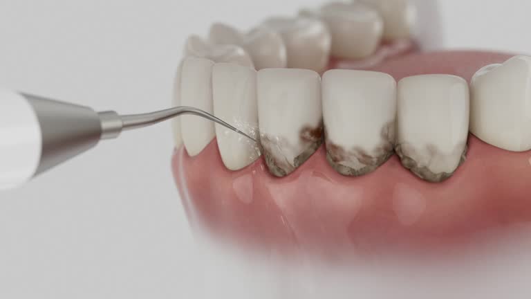 Reliable Dental contractor in Boulder Hill, IL by Dentist Open Now